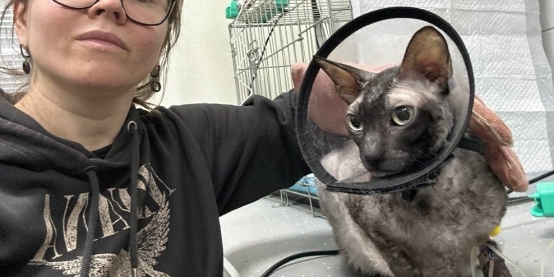 У нас заболел Люк