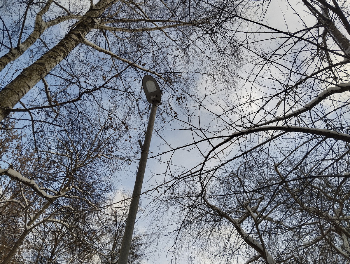 Небо над нашим двором. Январь в Лианозово. ЗДЕСЬ и далее фото автора и(или) из личного архива автора, если не указано иначе.