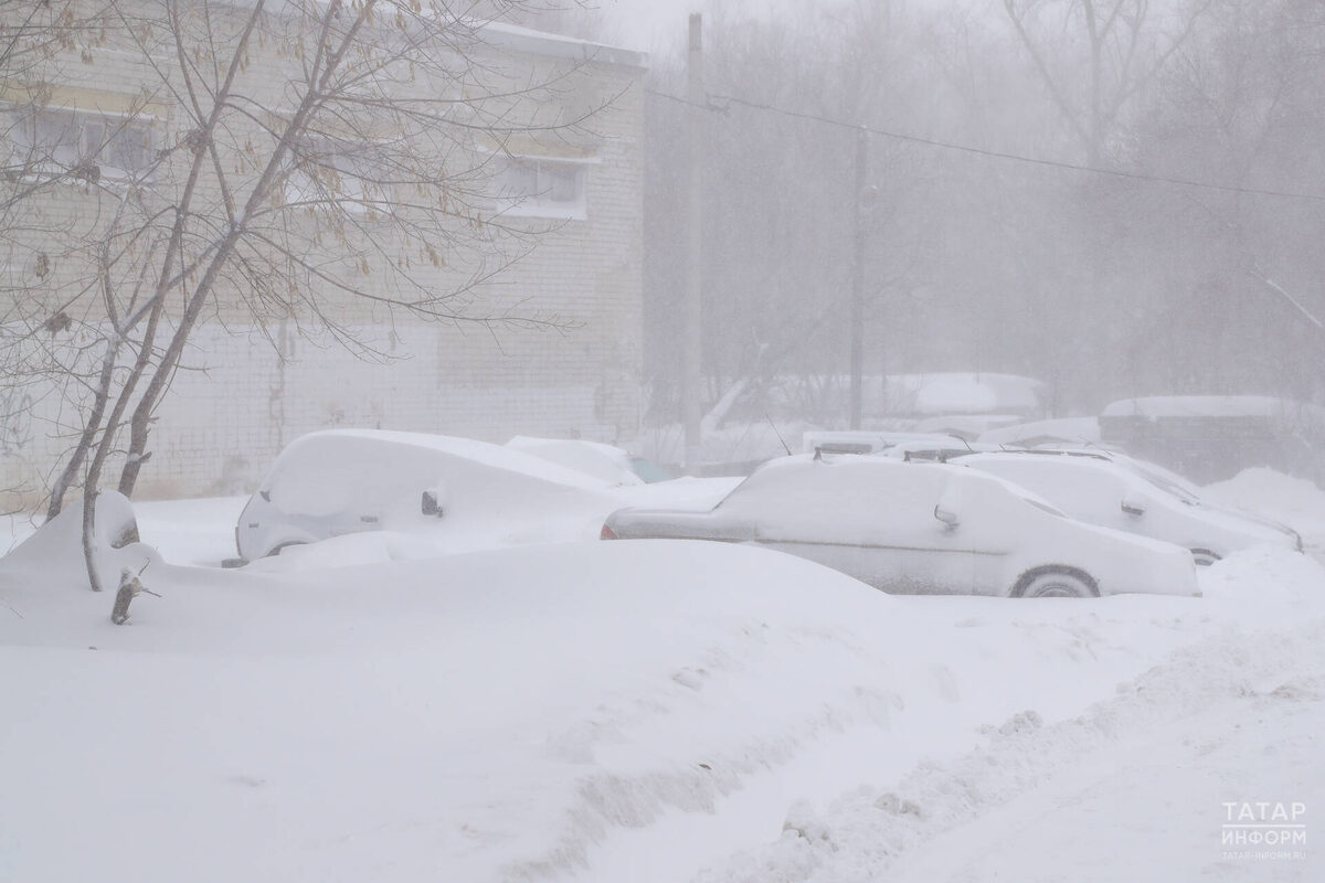 Фото: © Салават Камалетдинов / «Татар-информ»