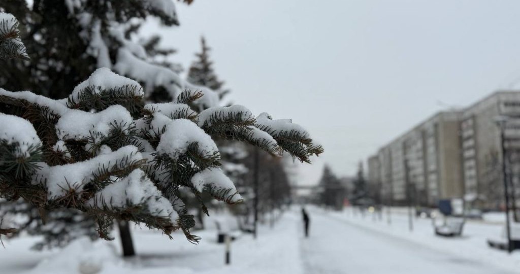 Эта зима не пощадит никого: завалит снегом всех – как быть дачникам и садоводам