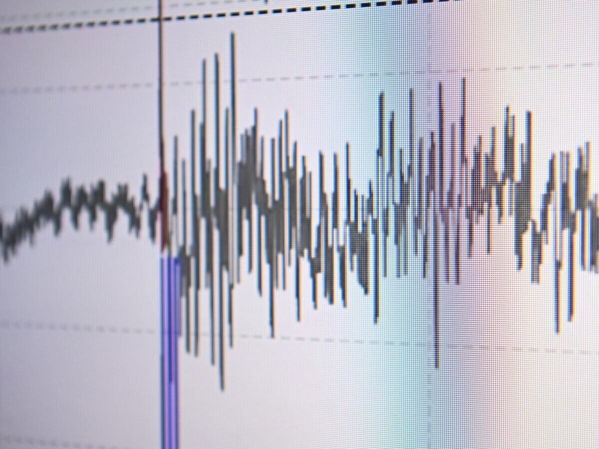   Сейсмограммы, получаемые с сети сейсмостанций | © РИА Новости / Александр Кряжев
