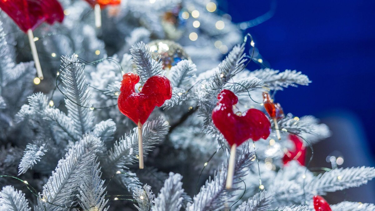    Фото: Федор Воронов/«Ямал-Медиа»