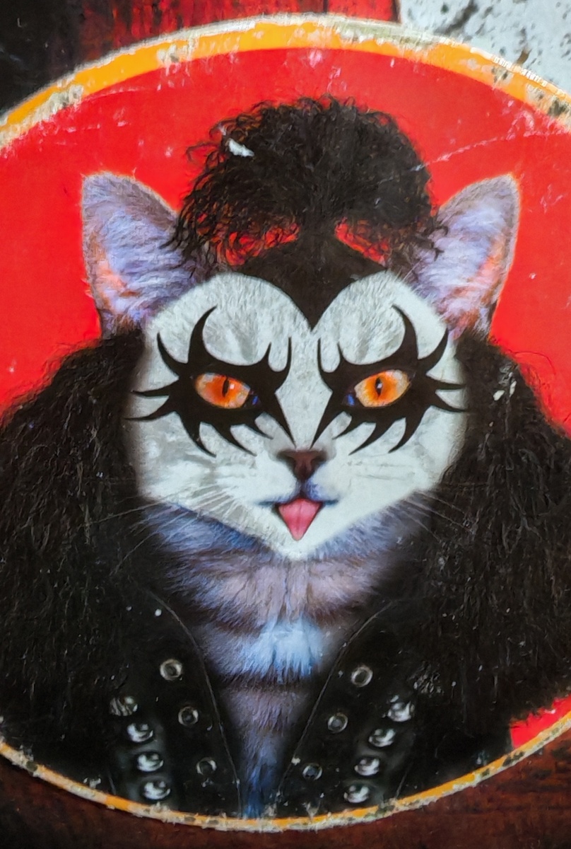 Волшебные существа, фото автора  