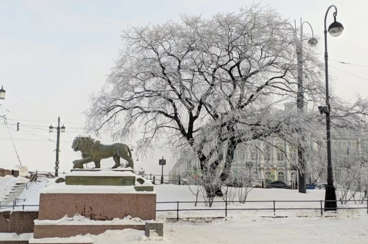    Синоптик Колесов рассказал, когда в Петербург вернется солнце