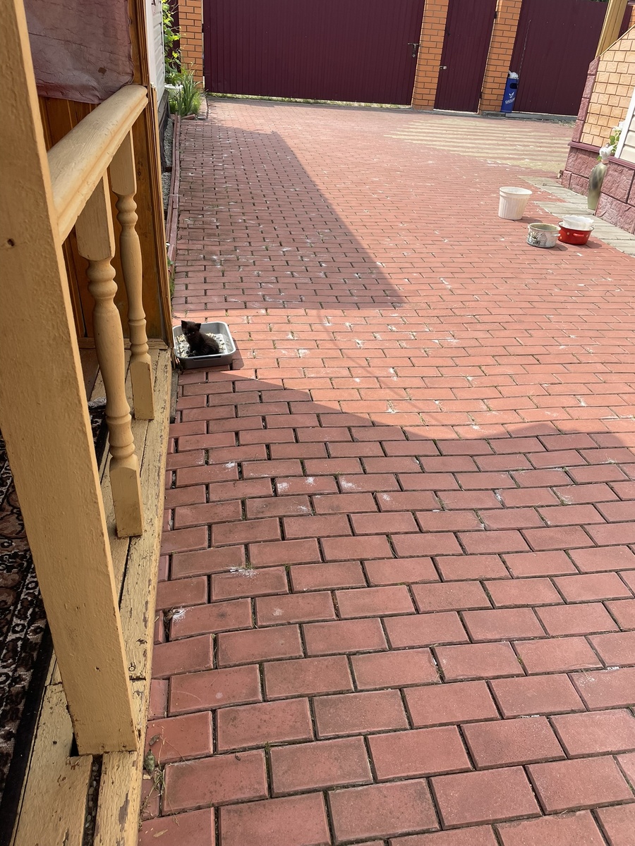 Фото автора