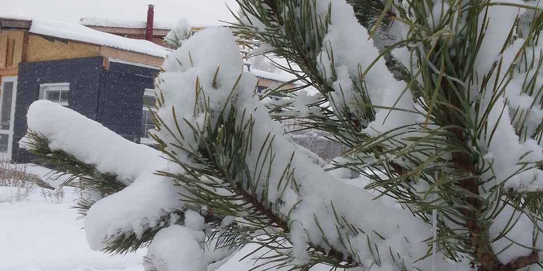 Вот и Зима. А что делать на Усаде? Да невПроворот развлечений.