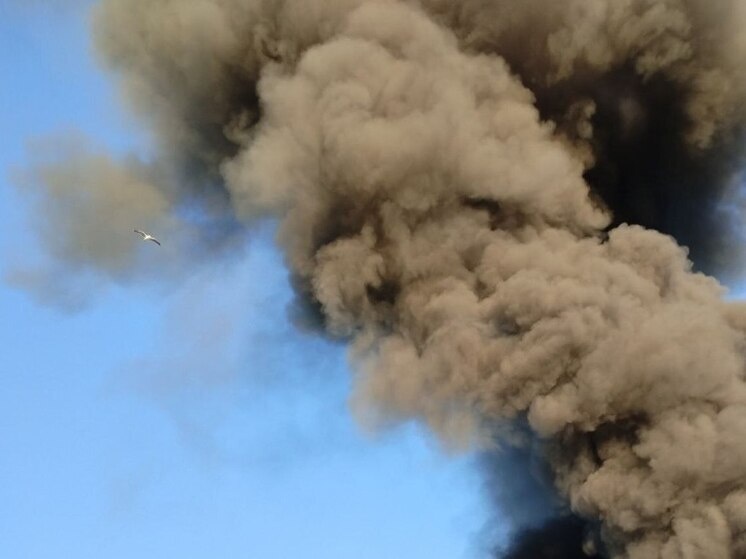     В ходе оперативных действий удалось эвакуировать шесть человек, из которых трое — дети. Фото: архив МК в Питере.