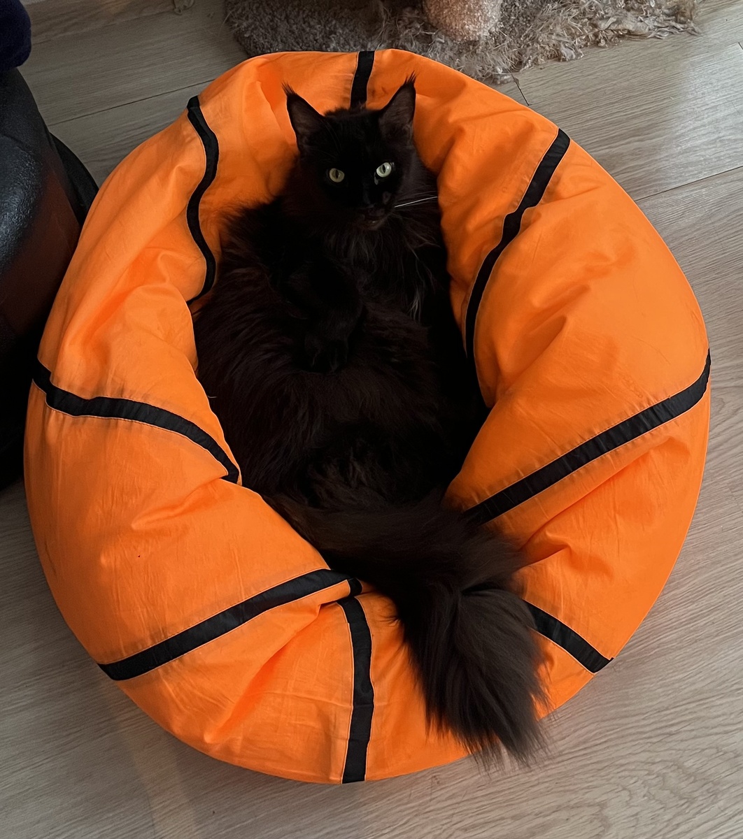 Фото автора 