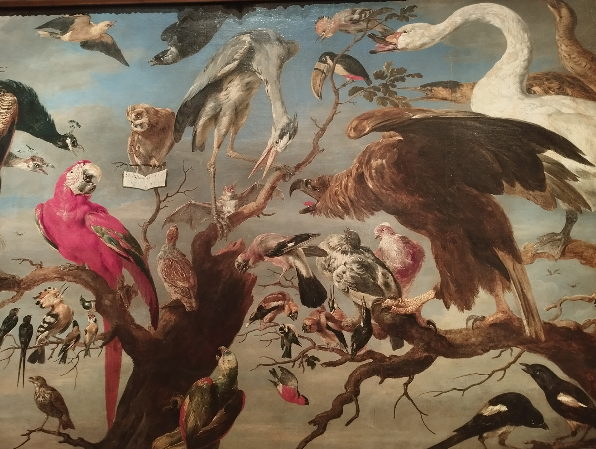 Франс Снейдерс "Птичий концерт"