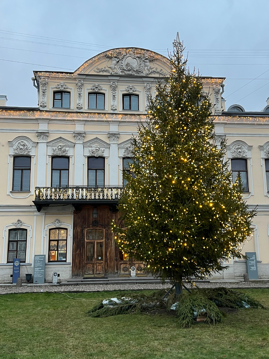 Дворец зимой 