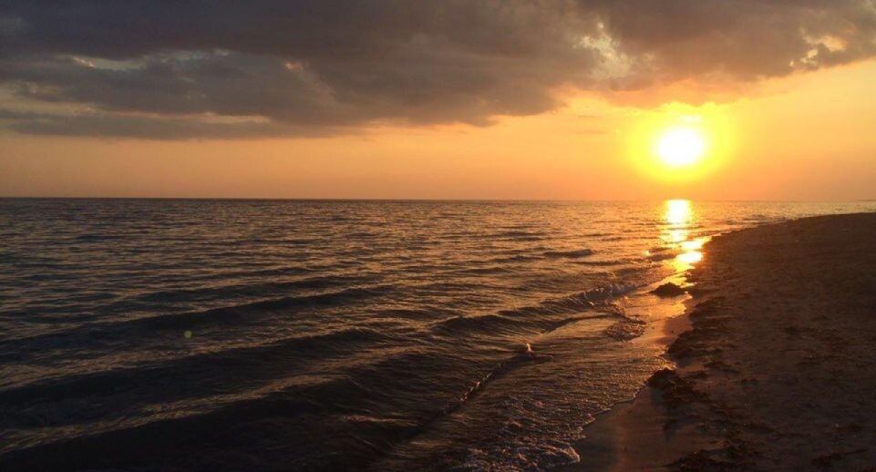    REGIONS/Илья Попов