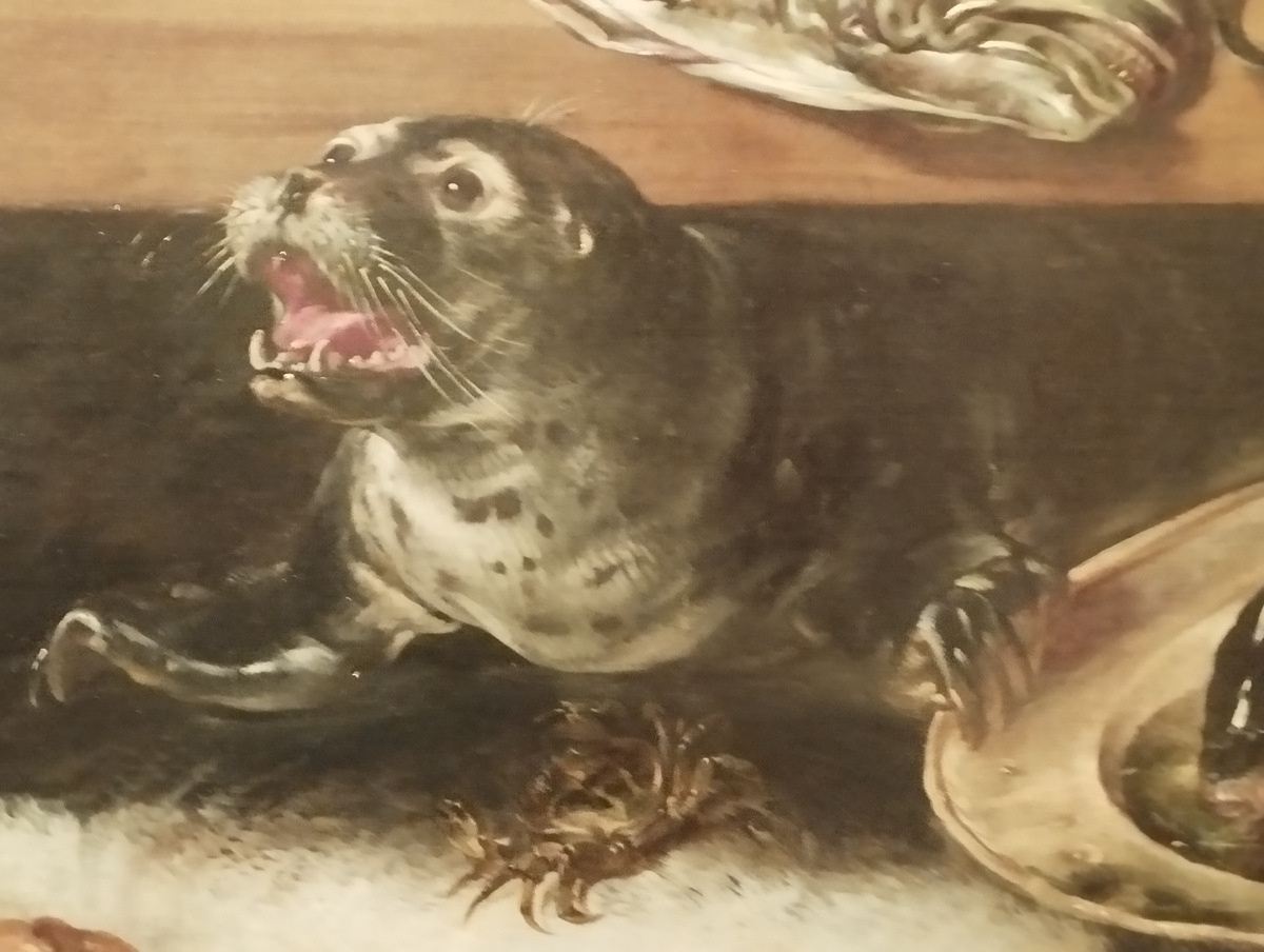 Нерпа или тюлень