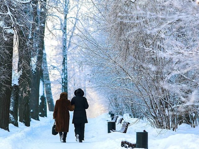    Фото: портал мэра и правительства Москвы