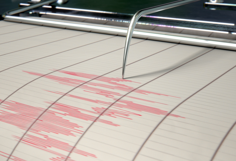    Shutterstock/FOTODOM