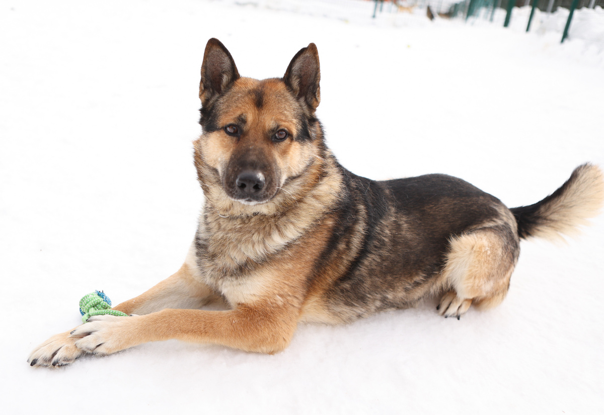 А я тогда думал, что моя жизнь снова висит на волоске
