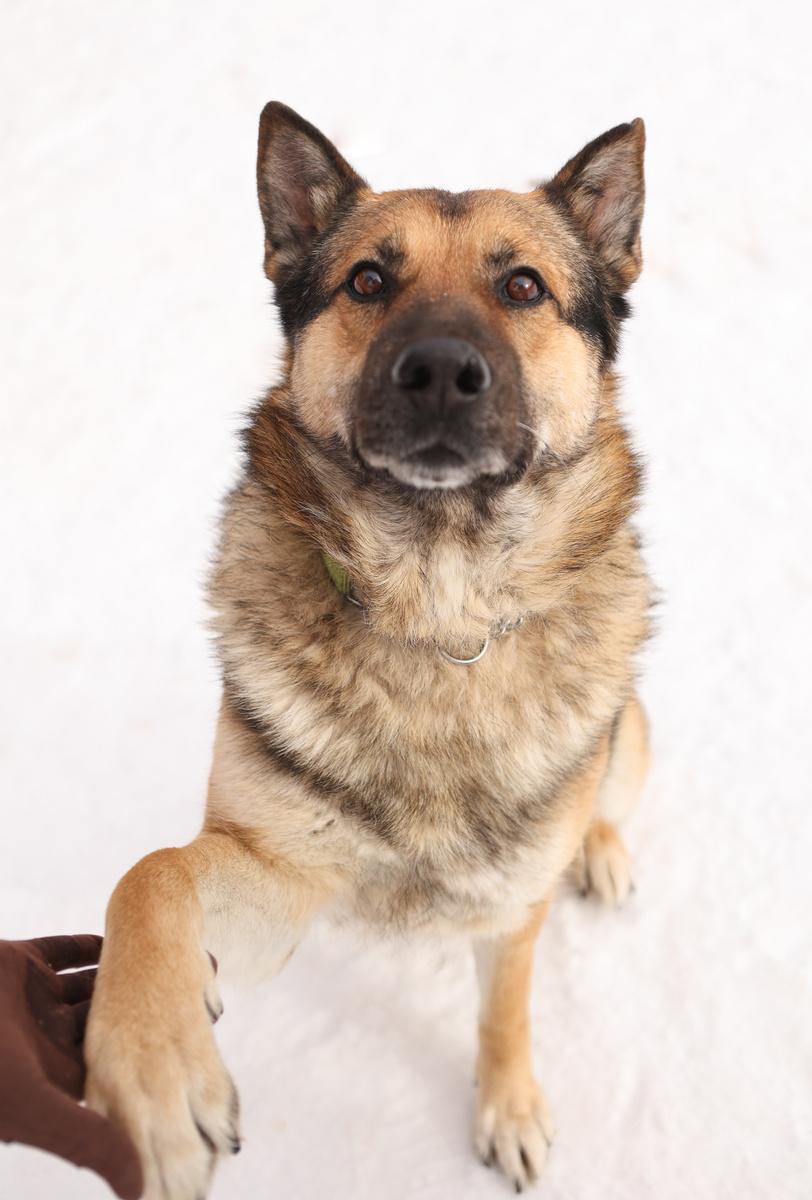 А я и не знал, что я так сурово выгляжу