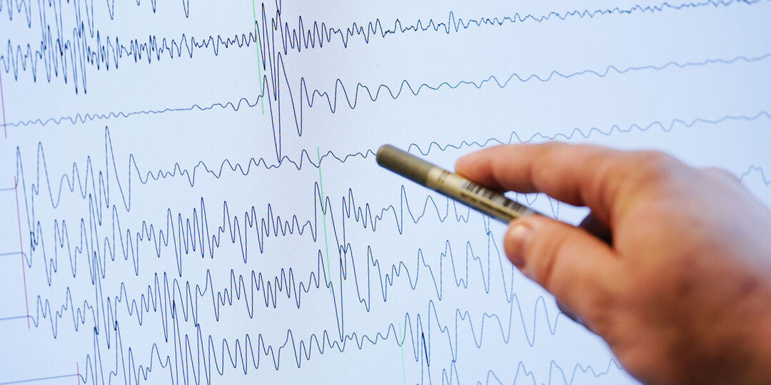 «Пол дрожал, собаки испугались»: местная жительница — о землетрясении в Сочи