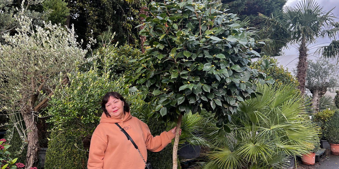 Что продают в английских садовых центрах зимой