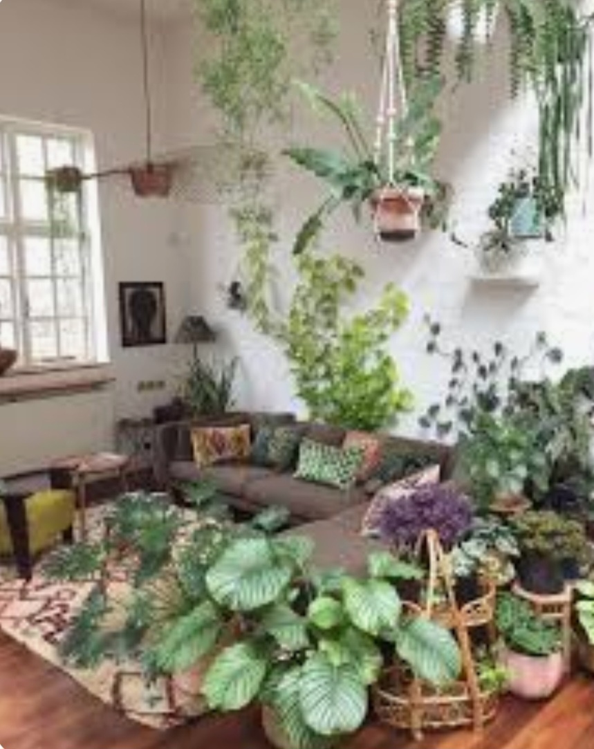 Каждый цветок обладает неповторимой энергетикой.