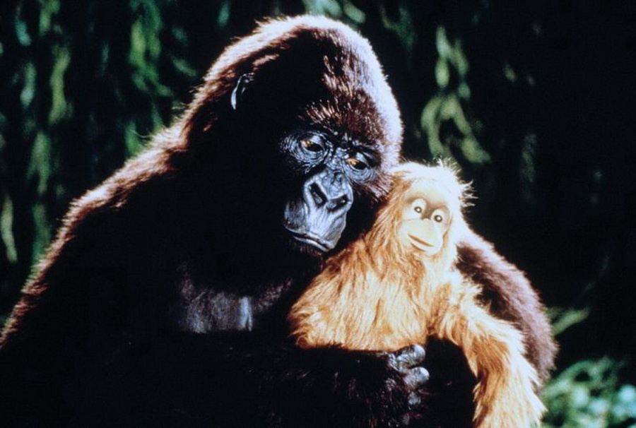 "Конго", вышедший на экраны в 1995 году, – это не просто приключенческий фильм. Это захватывающее путешествие в неизведанные джунгли, наполненное тайнами, опасностями и, конечно же, гигантскими говорящими гориллами-убийцами. Экранизация одноименного романа Майкла Крайтона, автора "Парка Юрского периода", "Конго" дарит зрителям щедрую порцию экзотической природы, напряжённого экшена и щепотку научной фантастики.