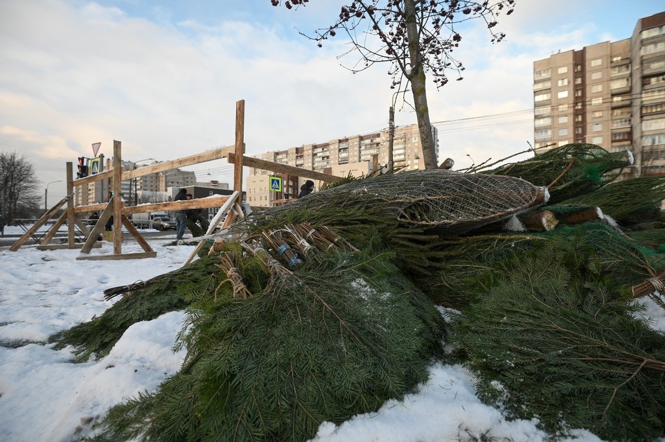   Акцию по сбору хвойных деревьев запускает Московский зоопарк с 5 января Алексей БУЛАТОВ