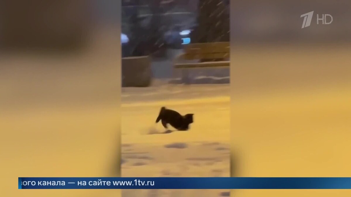    Первый канал