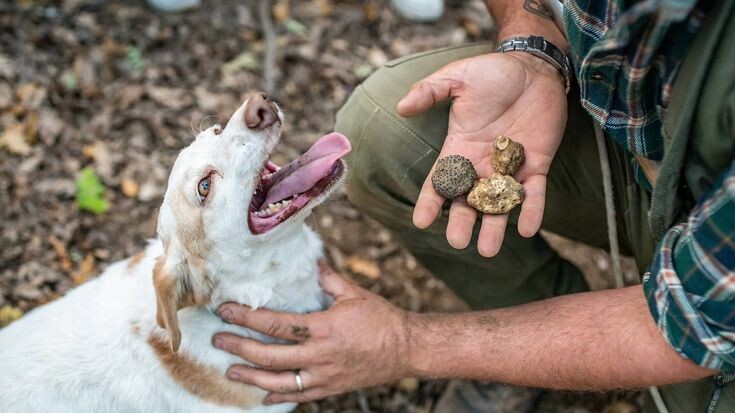 Фотография из интернета