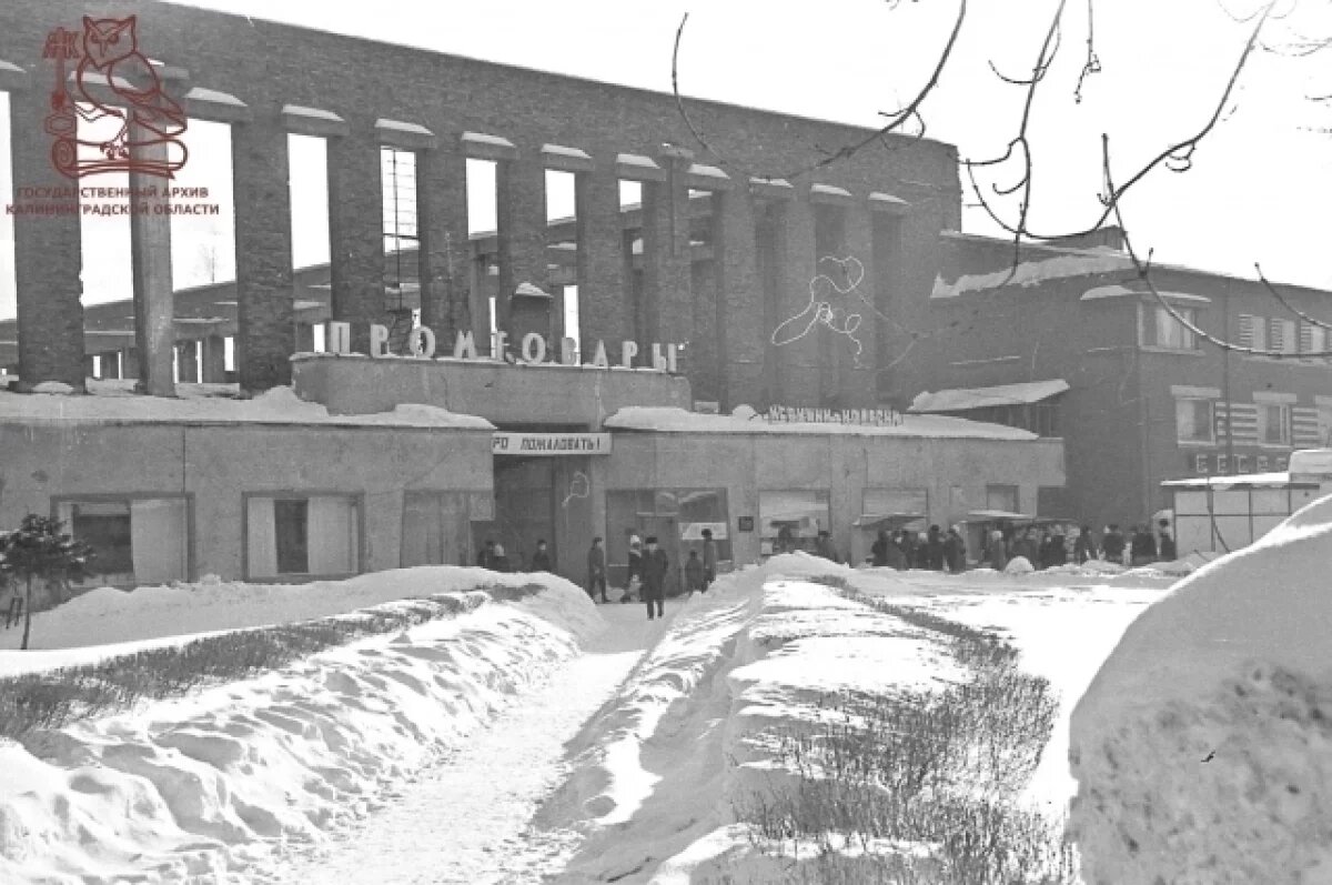    В госархиве показали, как выглядел «Эпицентр» в Калининграде в 1980-е
