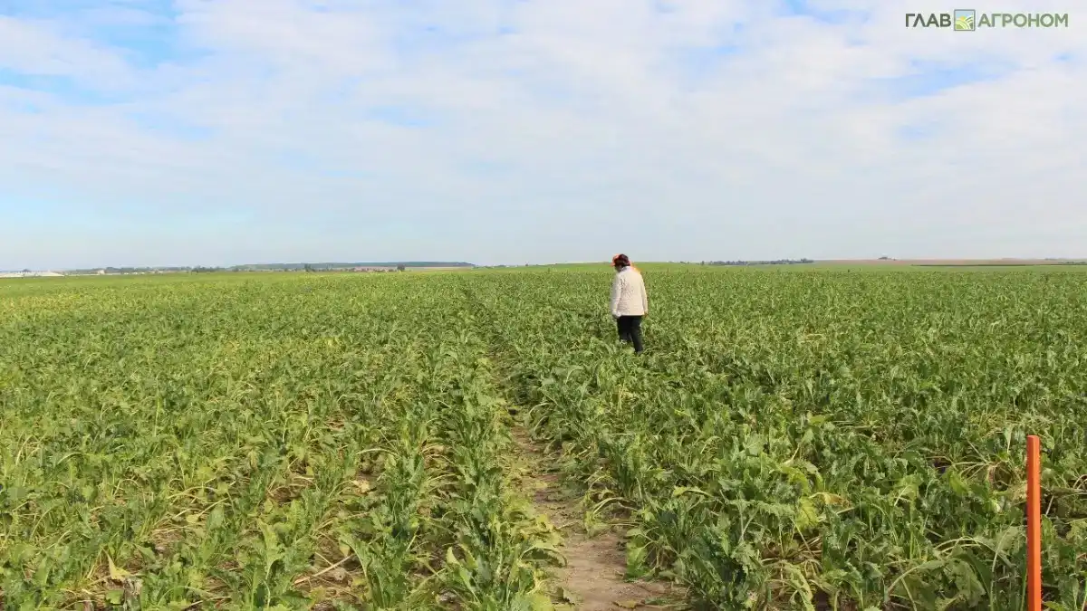 Фото:© Владимир Исаенко / Glavagronom.ruРоссия может стать образцом для других стран как пример активного участия женщин в сельскохозяйственном секторе