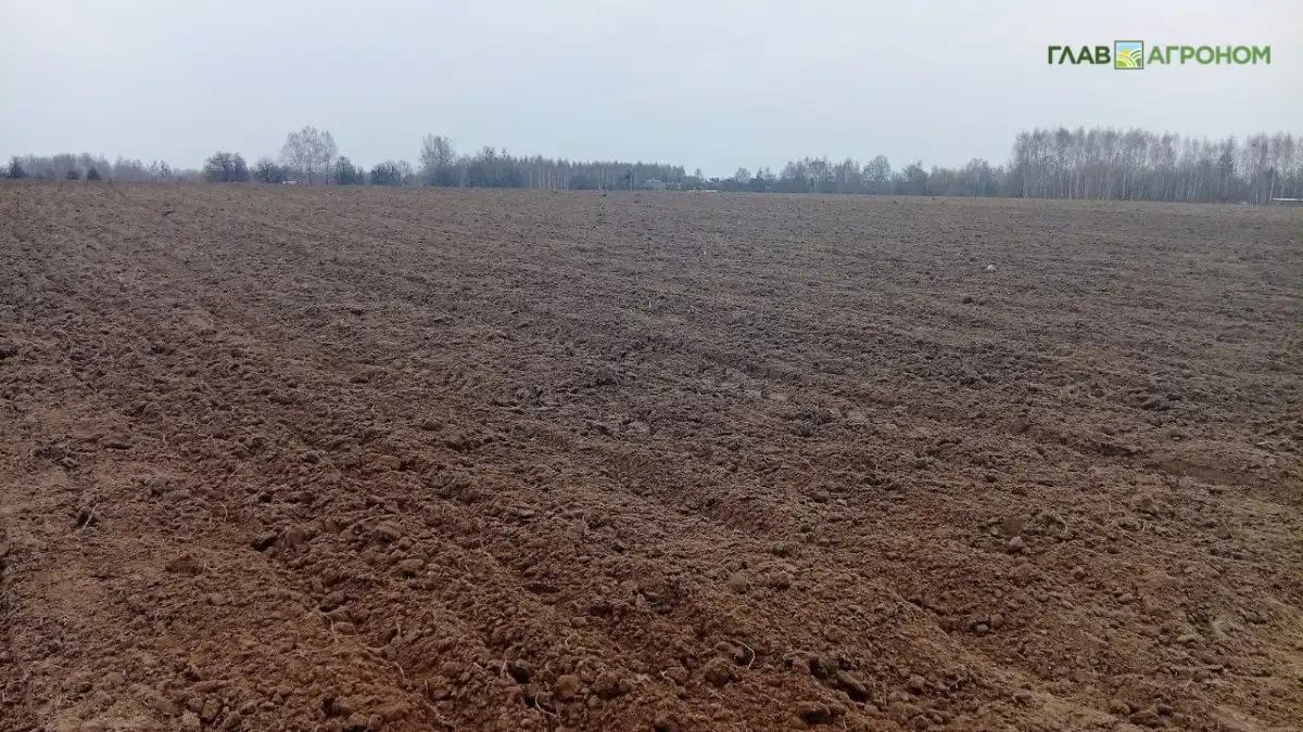 Фото:© Николай Петроченко / Glavagronom.ruПо доле сельхозземель в мире лидируют Бангладеш и Дания