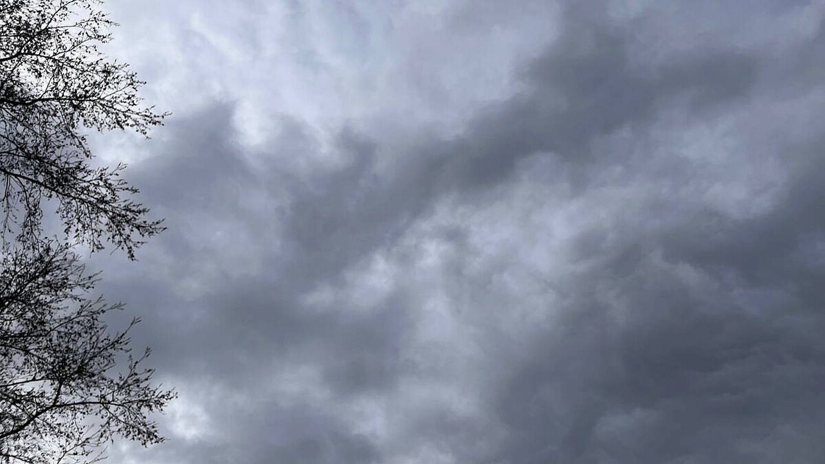    Фото: телеканал «Краснодар»