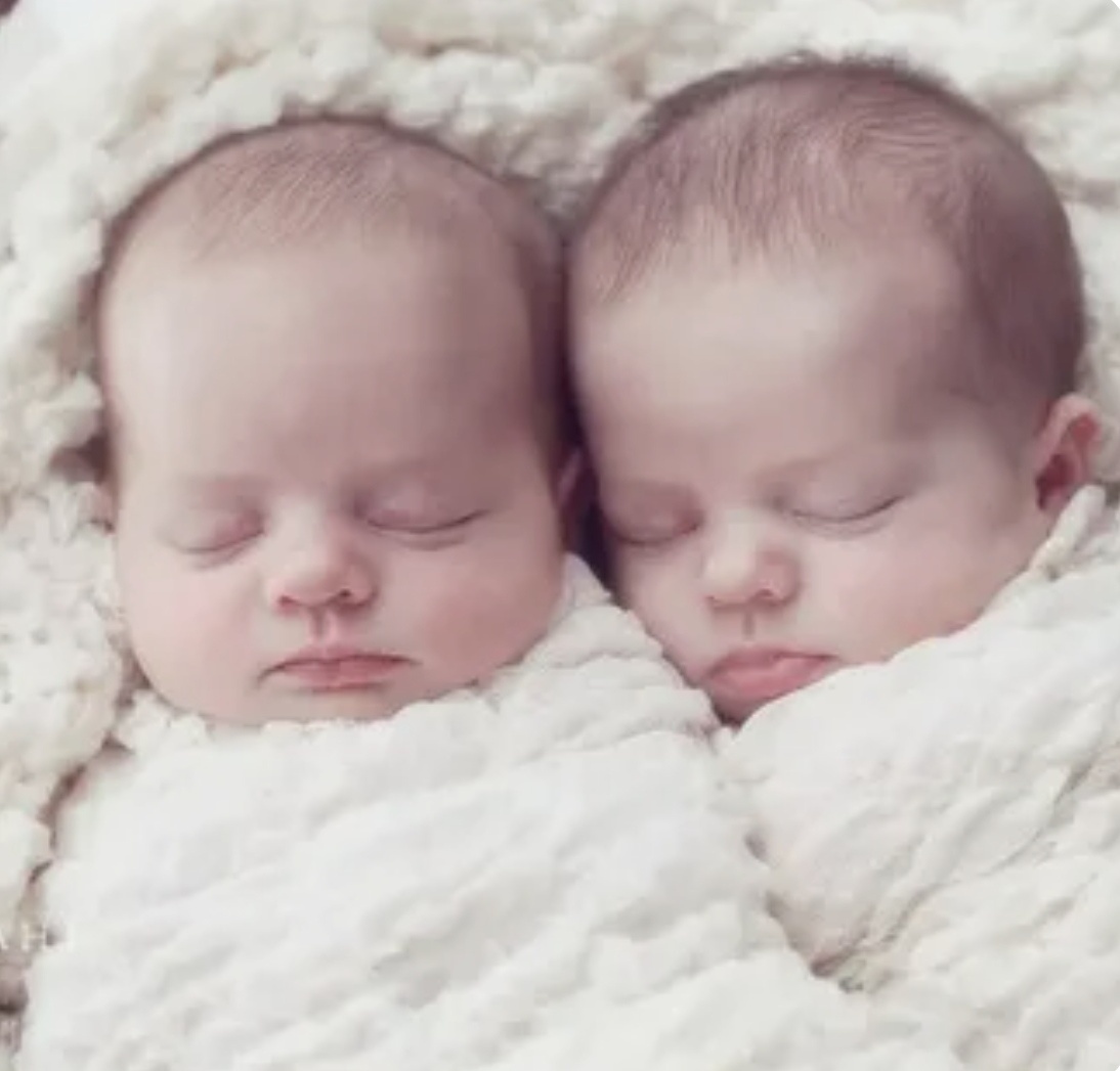 из свободных источников