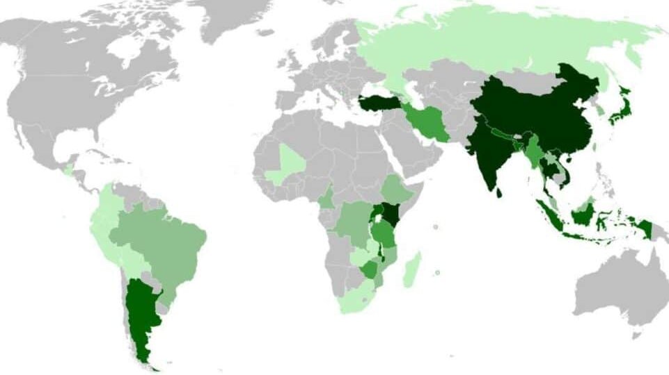 Инфографика: страны-лидеры по производству чая