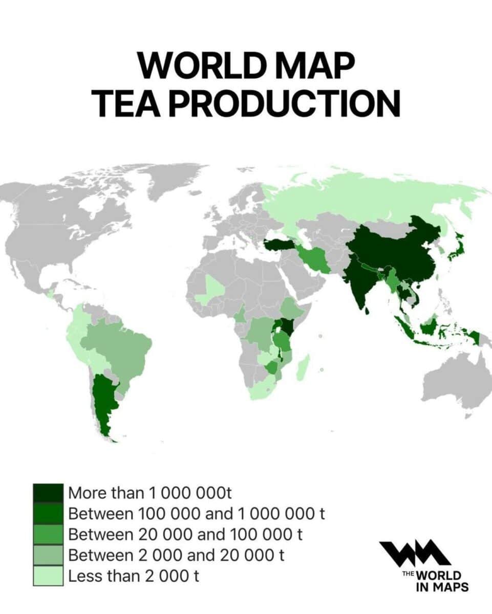    Инфографика: в каких странах производят чай / © World in Maps