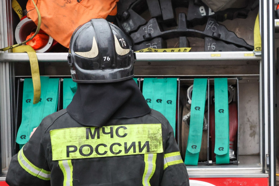    Алексей Белкин/NEWS.ru