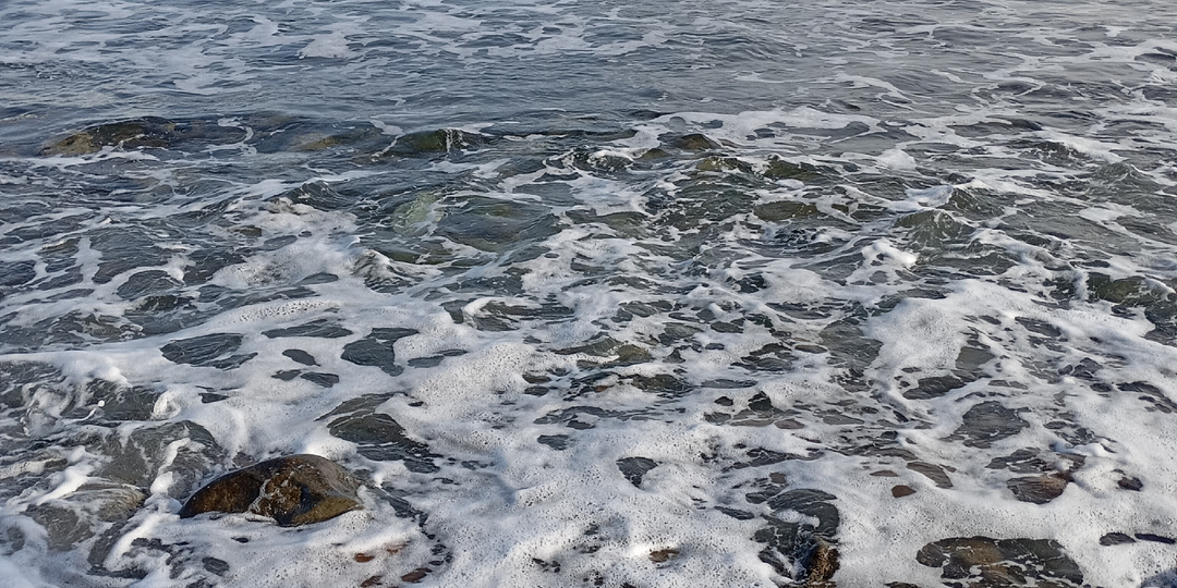 Дети и внуки Куперов. Жизнь без Приморья