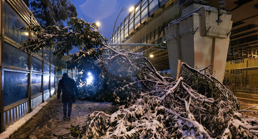 «Двигается улица»: в Сочи произошло землетрясение