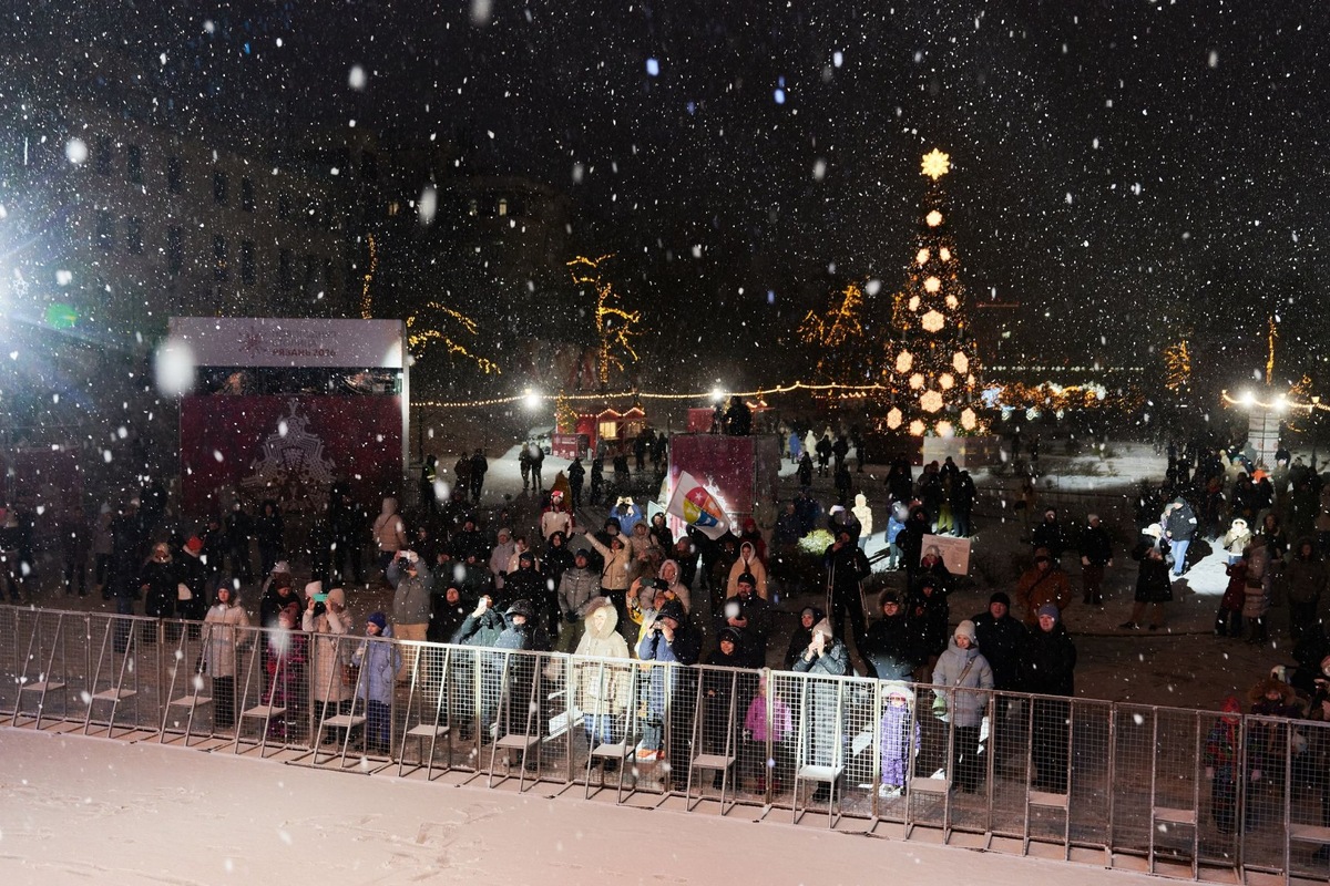    Фото: новогодняя-столица2026.рф