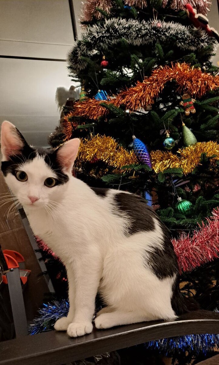 Первый новый год у малыша