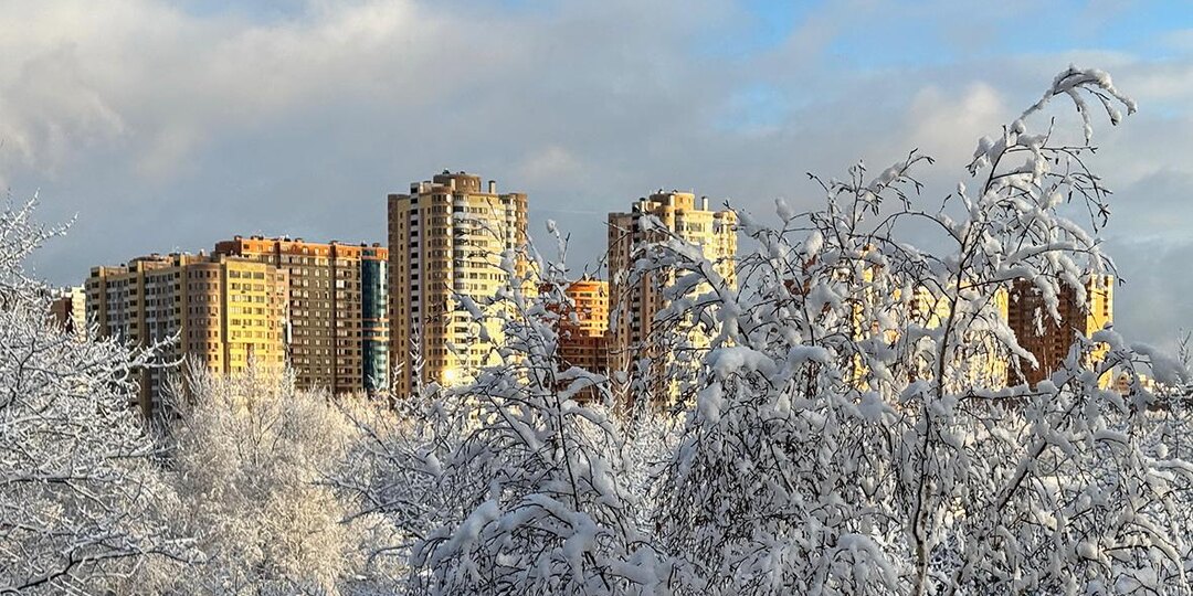 Собянин сообщил об уничтожении атаковавших Москву дронов
