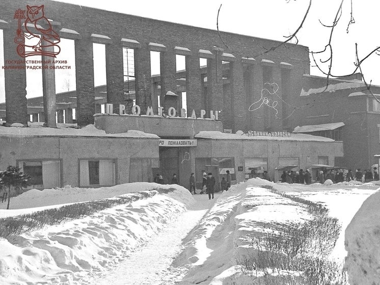     Фото: Госархив Калининградской области/ Автор: Александр Владимирович Зимин, 1980-е годы.