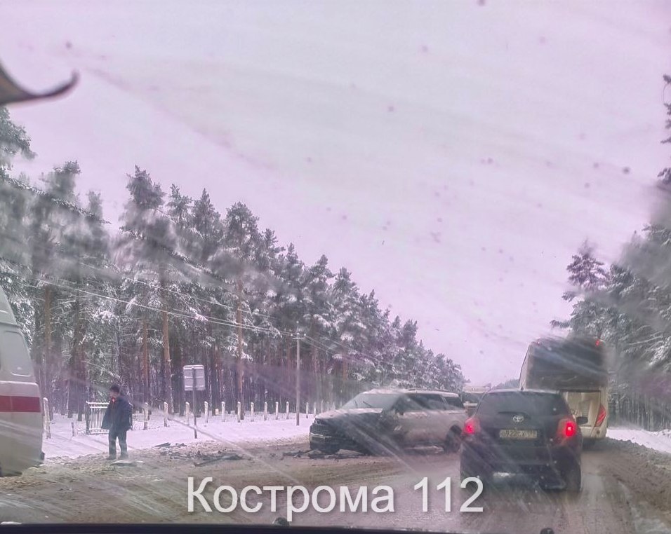    ФОТО: t.me/kostroma112