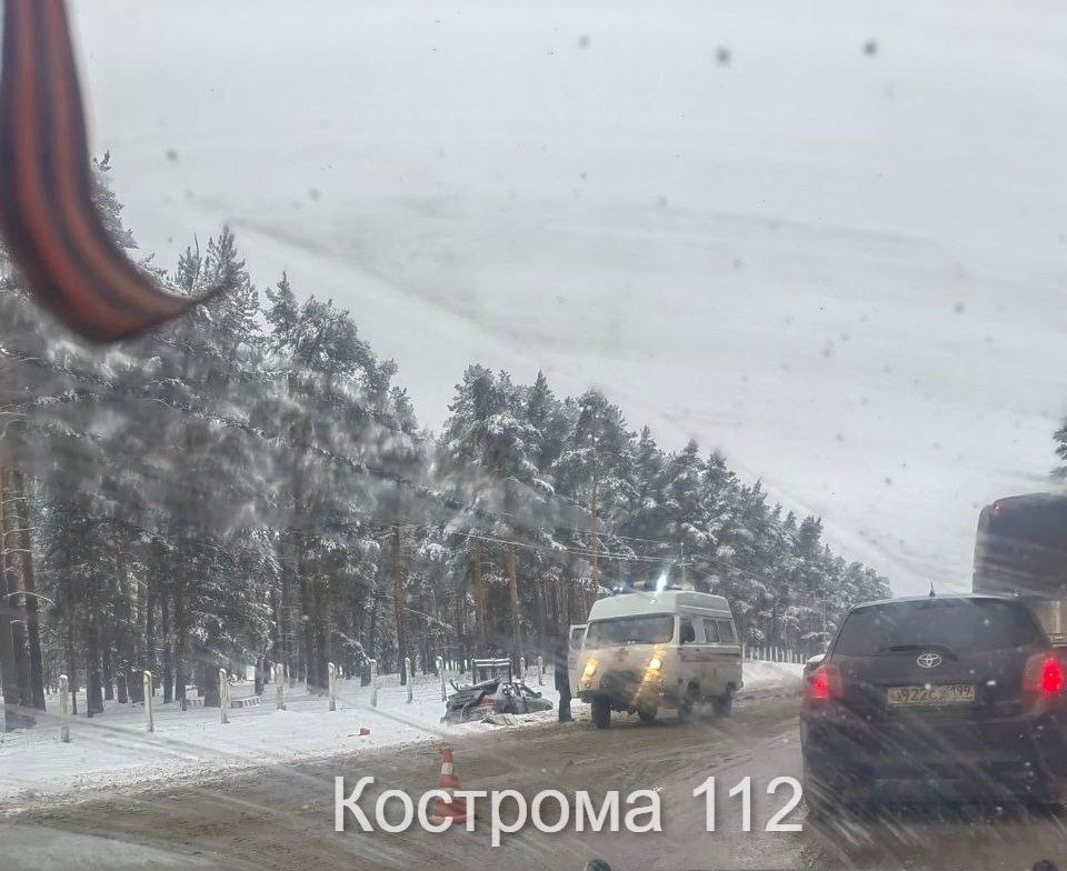    ФОТО: t.me/kostroma112