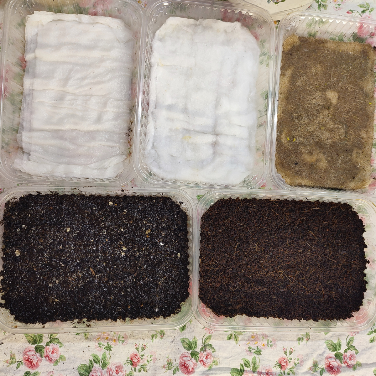 Туалетная бумага,вата, джутовый коврик,земля, кокосовый субстрат 