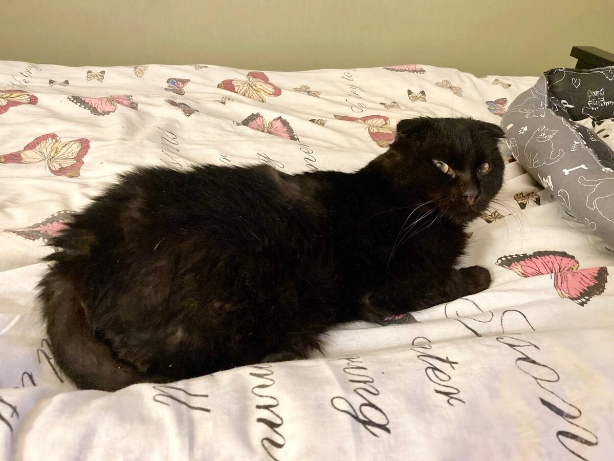 Я даже не ожидал, что столько людей хороших бывает