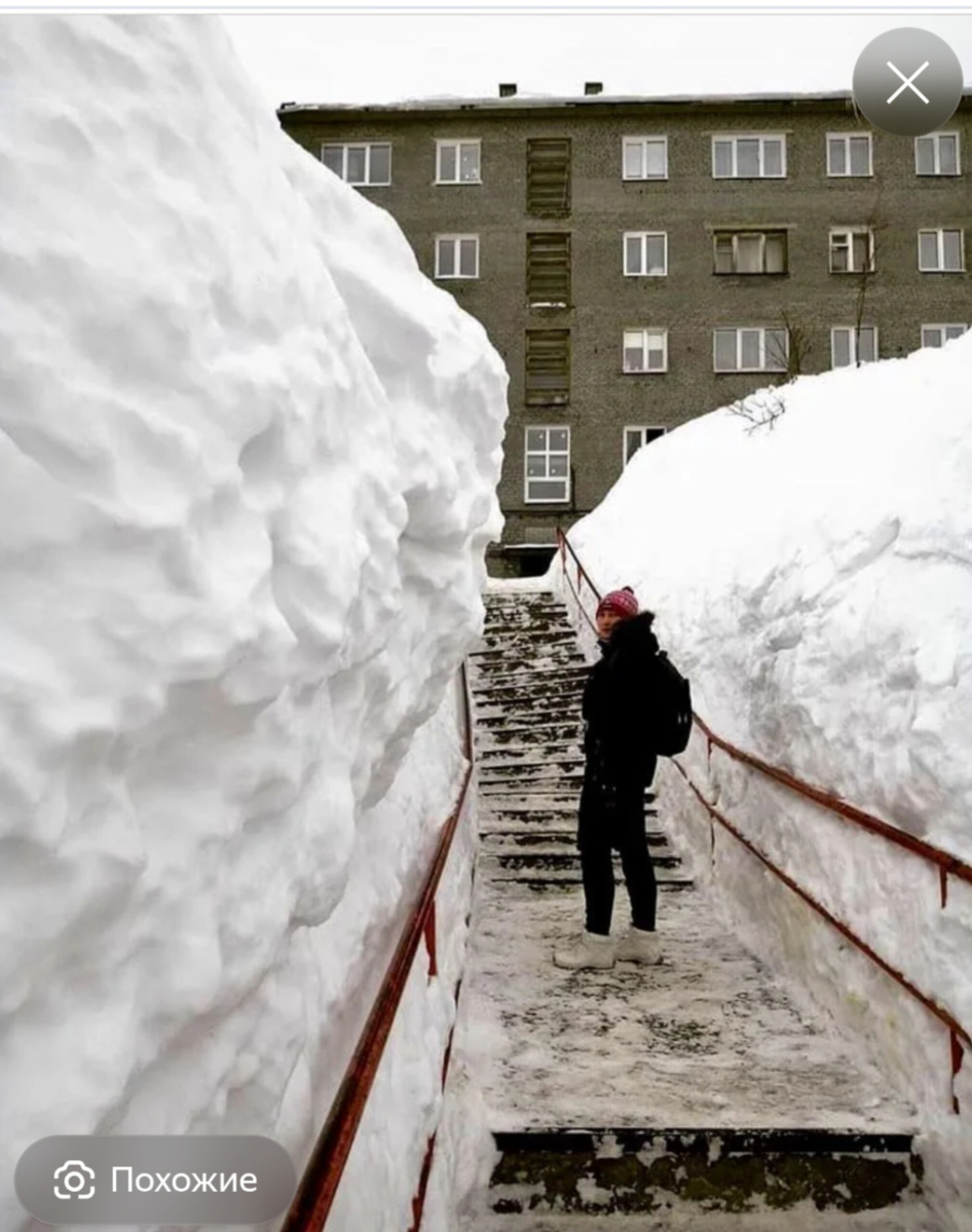 Фото из интернета 