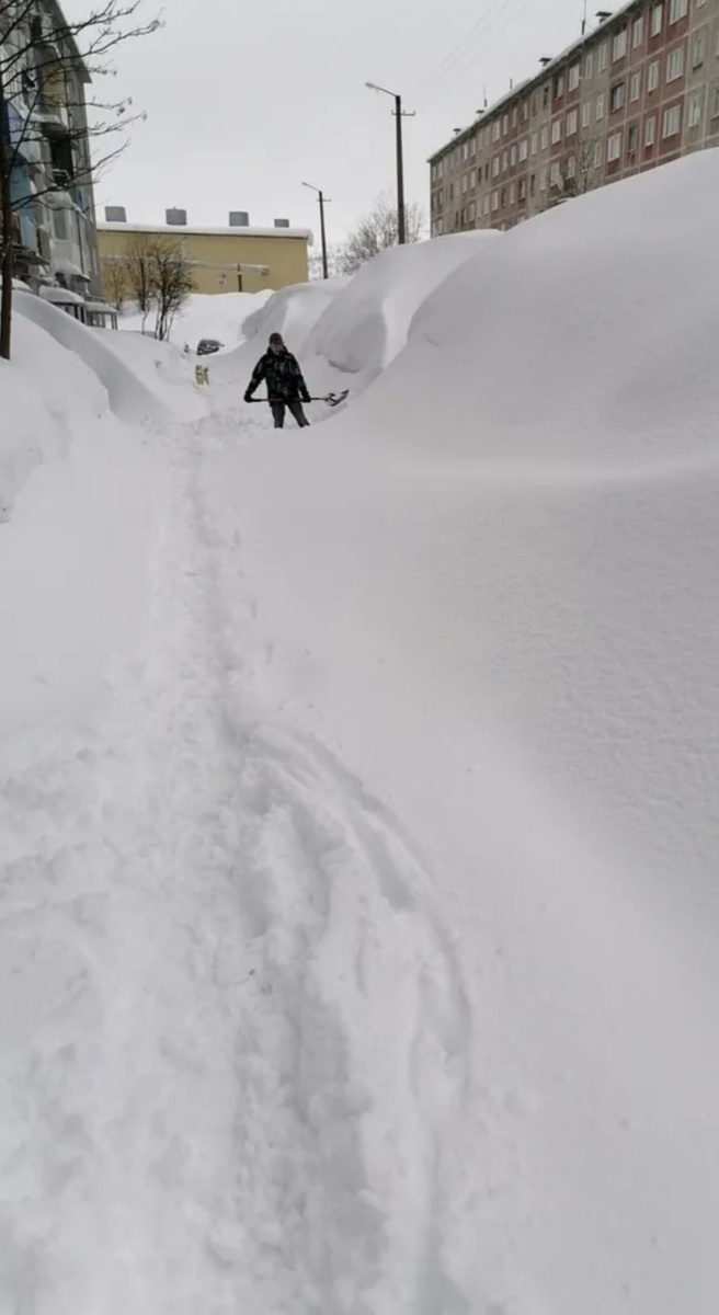 Фото из интернета 