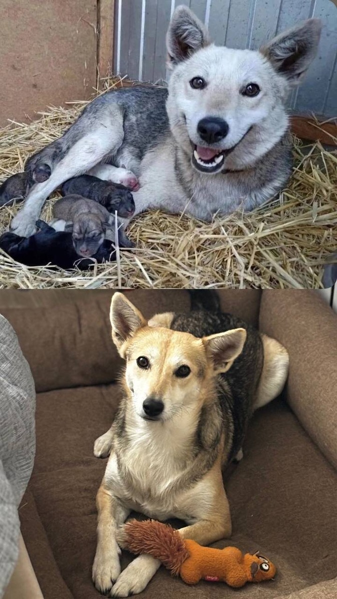 Было-стало....