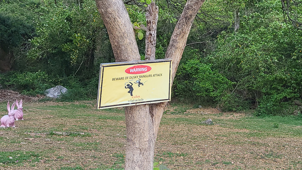 Предупреждающие знаки о прыгающих на людей обезьян