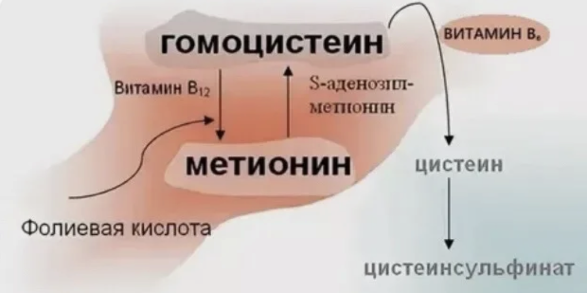 так выглядит обмен гомоуистеина. Картинку заскринина из яндекса
